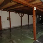 életfa *